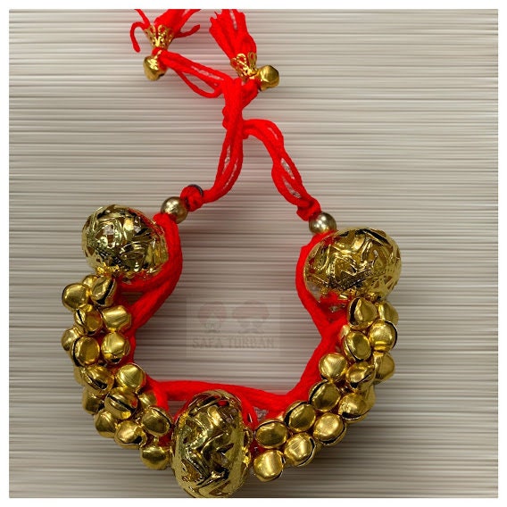 Indian Wedding Gaana with Ghungroos for Women/Bride/Haldi/Mehandi