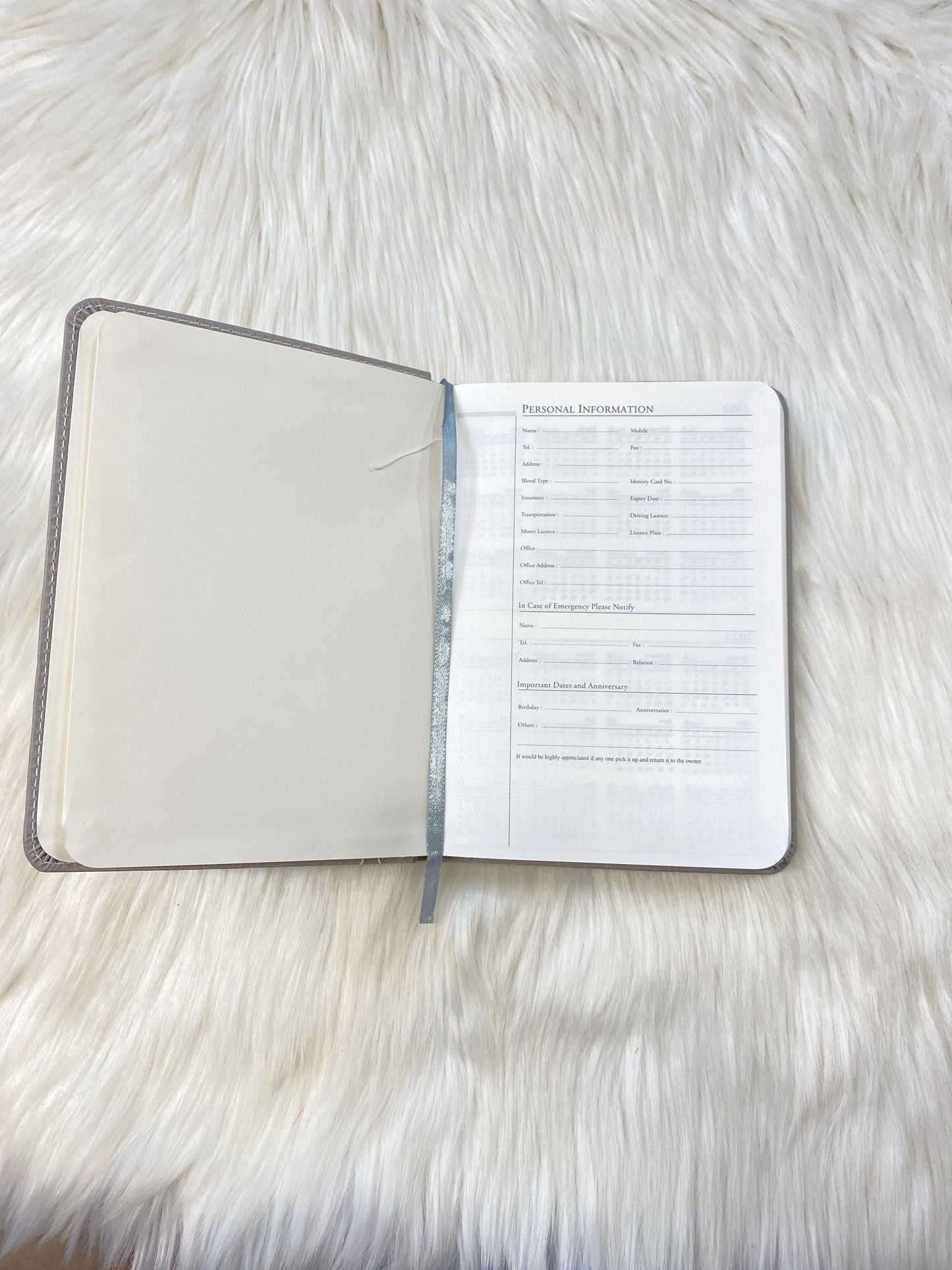 Hard Cover 2025 Sleek & Stylish Notebook | Executive Diaries/Planner/Notebook | Size 8.1 x 5.8 inches