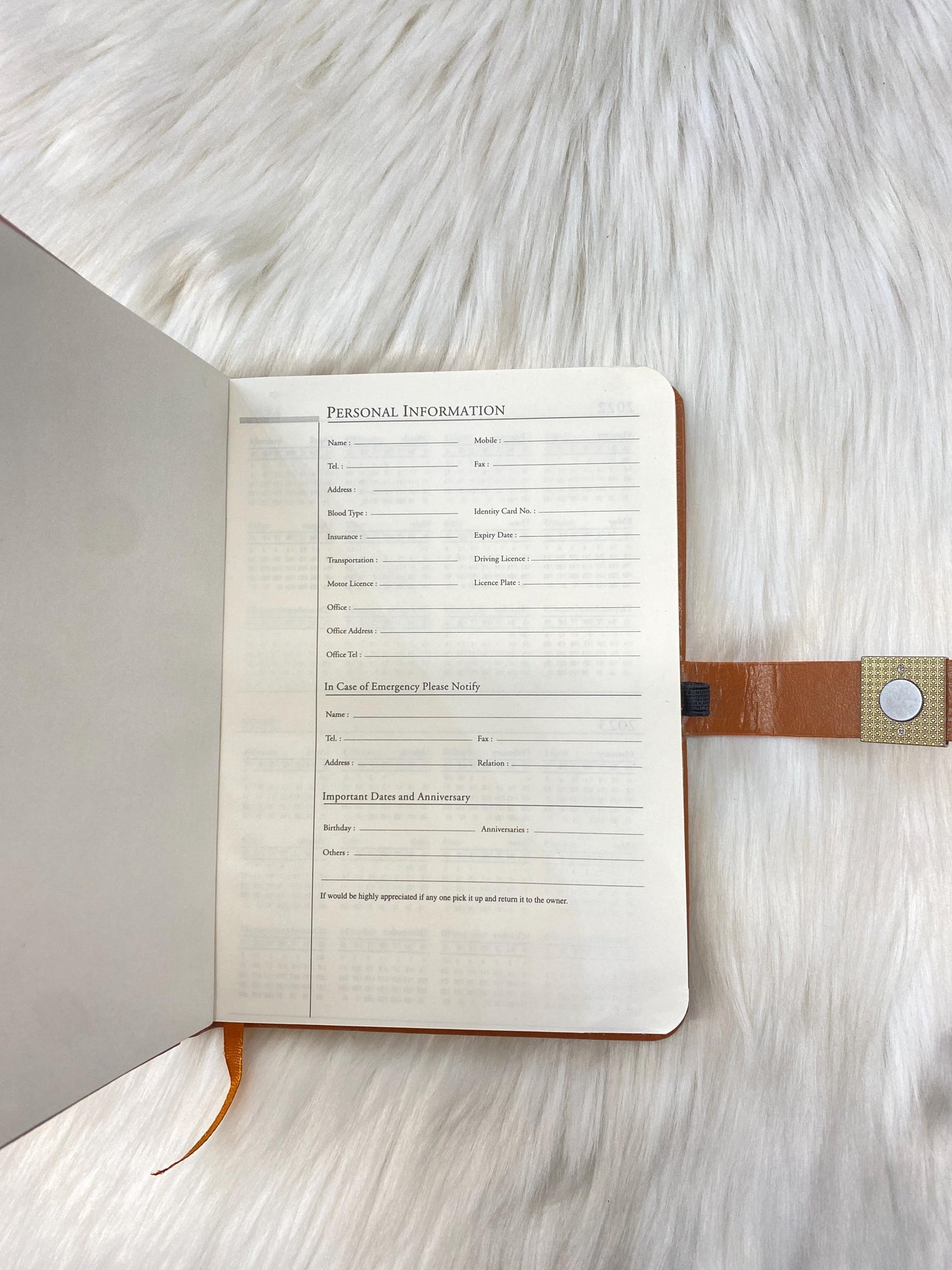 Hard Cover 2025 Sleek & Stylish Notebook | Executive Diaries/Planner/Notebook | Size 8.1 x 5.8 inches